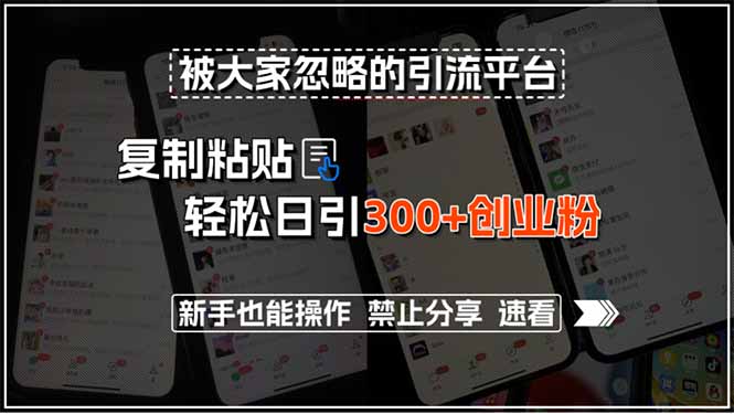 被大家忽略的引流平台，复制粘贴轻松日引300+创业粉，新手也能操作，禁…-川川创富网