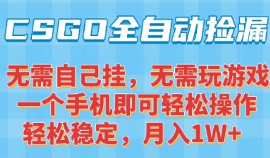 CSGO自动捡漏项目，最新独家玩法，一个手机可操作，新手小白轻松月入1W+，操作简单易上手【揭秘】-川川创富网