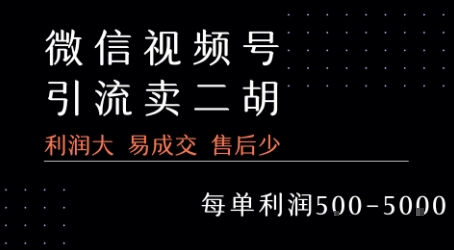 视频号卖二胡教程，利润大 易成交 售后少，一单利润5张+-川川创富网