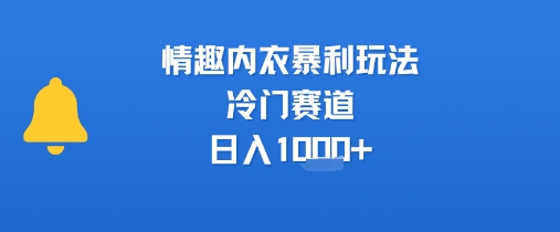 情趣内衣暴利玩法，冷门赛道，日入1k+-川川创富网