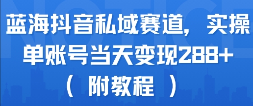 蓝海抖音私域赛道，实操单账号当天变现288+(附教程)-川川创富网
