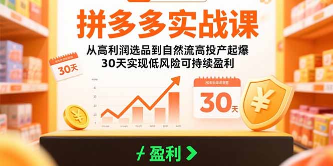 拼多多实战课：从高利润选品到自然流高投产起爆 30天实现低风险可持续盈利-川川创富网