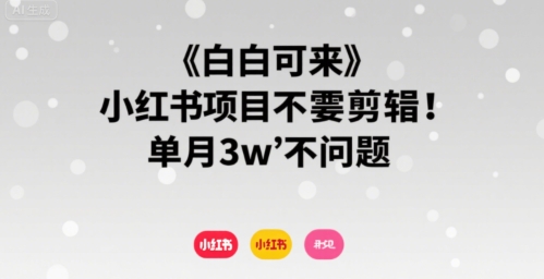 小白可来 小红书项目不需要剪辑 单月3w不是问题-川川创富网