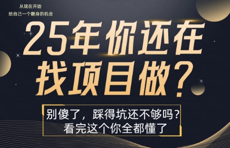 25年，你还在疯狂的找项目吗？别傻了，看完这个你都懂了【揭秘】-川川创富网