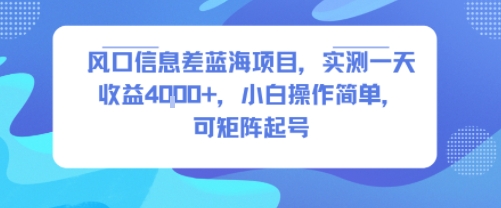 风口信息差蓝海项目，实测一天收益4k+，小白操作简单，可矩阵起号-川川创富网