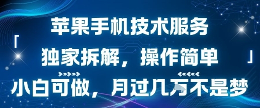 苹果手机技术服务，独家拆解，操作简单，小白可做，月过1W不是梦-川川创富网