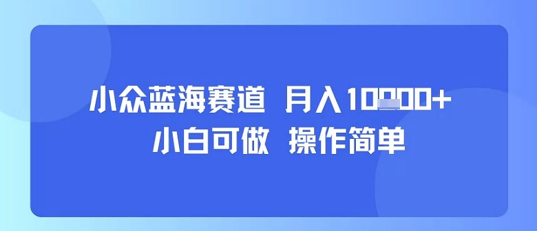 小众蓝海赛道，小白可做，操作简单，每天30分钟，月入1W+-川川创富网