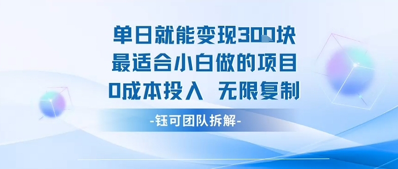 单日就能变现3张最适合小白做的项目0成本投入 无限复制-川川创富网