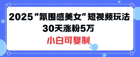 不露脸也能火！2025“氛围感美女”短视频玩法，30天涨粉5W小白可复制-川川创富网
