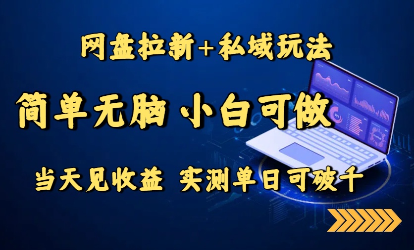 网盘拉新+私域玩法，简单无脑，小白可做，当天见收益，实测单日可破千-川川创富网