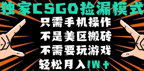CSGO自动捡漏项目，最新独家玩法，不是美区搬砖，不需要了解和玩游戏，新手小白轻松月入1W+【揭秘】-川川创富网