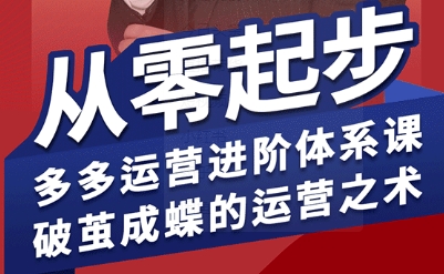拼多多运营进阶系统课，从零起步，多多运营进阶体系课，破茧成蝶的运营之术-川川创富网