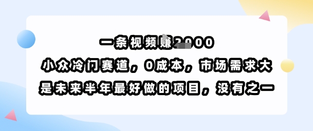 一条视频挣1k，小众冷门赛道，0成本，市场需求大，是未来半年最好做的项目，没有之一-川川创富网