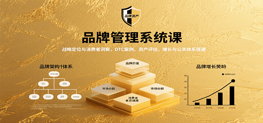 品牌管理系统课：战略定位与消费者洞察，DTC案例、资产评估，增长与公关体系搭建-川川创富网