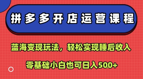 拼多多开店运营课程：蓝海变现玩法，轻松实现睡后收入，零基础小白也可日入5张-川川创富网