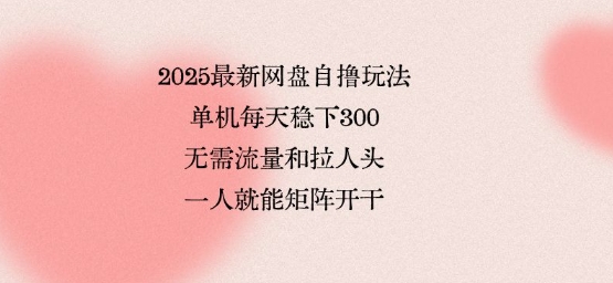 2025最新网盘自撸玩法，单机每天稳下3张，无需流量和拉人头，一个人就可轻松矩阵，全网独一份【揭秘】-川川创富网