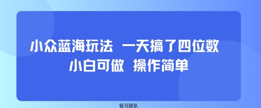 小众蓝海玩法 一天搞了四位数 小白可做 操作简单-川川创富网