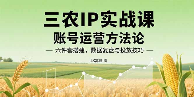 三农IP实战课：账号运营方法论，六件套搭建，数据复盘与投放技巧-川川创富网