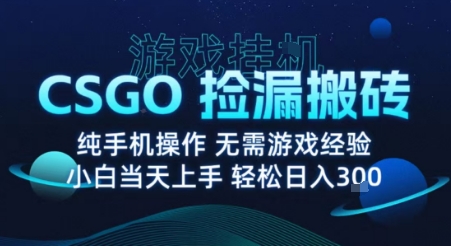 8月最新游戏搬砖，CSGO纯挂G，不需要玩游戏，实现真挂G，月入1W+【揭秘】-川川创富网