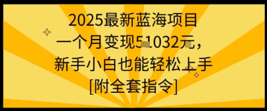 2025最新蓝海项目一个月变现1w+新手小白也能轻松上手【附全套指令】-川川创富网