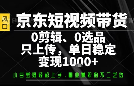 你出账号，我来运营，保底日入1k+，开启躺賺模式【揭秘】-川川创富网