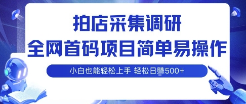 拍店采集调研，全网首码项目，简单易操作， 小白也能轻松上手，多账号操作，轻松日入5张【揭秘】-川川创富网
