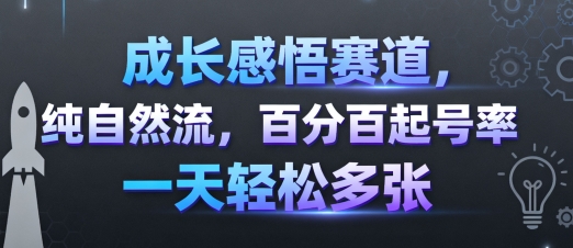 成长感悟赛道，纯自然流，百分百起号率 一天轻松多张-川川创富网
