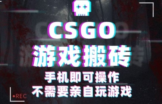 CSGO游戏挂G捡漏，单日扫货5张+，年底小高峰上车可吃肉，手机即可操作，兼职副业创业网创【揭秘】-川川创富网