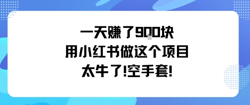 一天挣了9张用小红书做这个项目太牛了，空手套-川川创富网