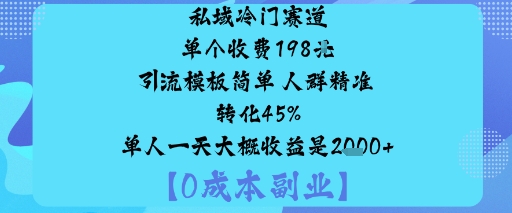 私域冷门赛道:单个收费198米引流模板简单人群精准转化45%单人一天大概收益是1k+-川川创富网