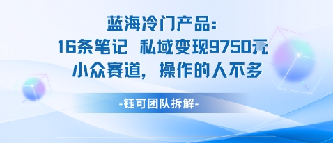 蓝海项目：16条笔记私域变现9750米小众赛道操作的人不多-川川创富网