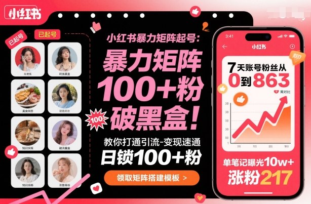 小红书暴力矩阵起号，教你打通引流-变现速通，日锁100+粉，破流量黑盒-川川创富网
