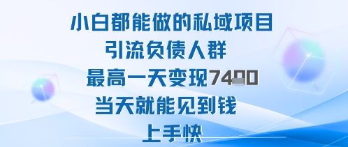 2025年小白都能做的私域项目引流负债人群最高一天变现1k+高变现难度低当天就能见到钱上手快-川川创富网