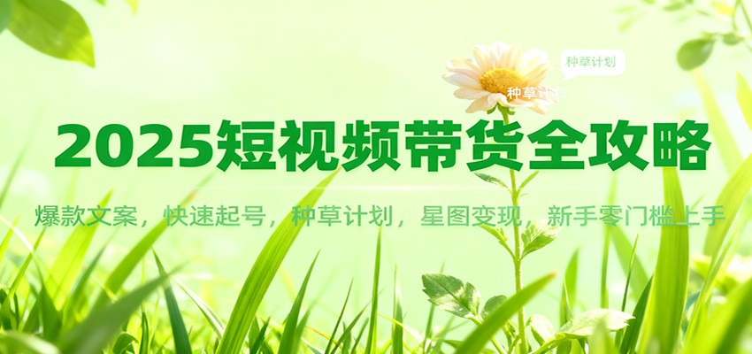 2025短视频带货全攻略：爆款文案，快速起号，种草计划，星图变现，新手零门槛上手-川川创富网