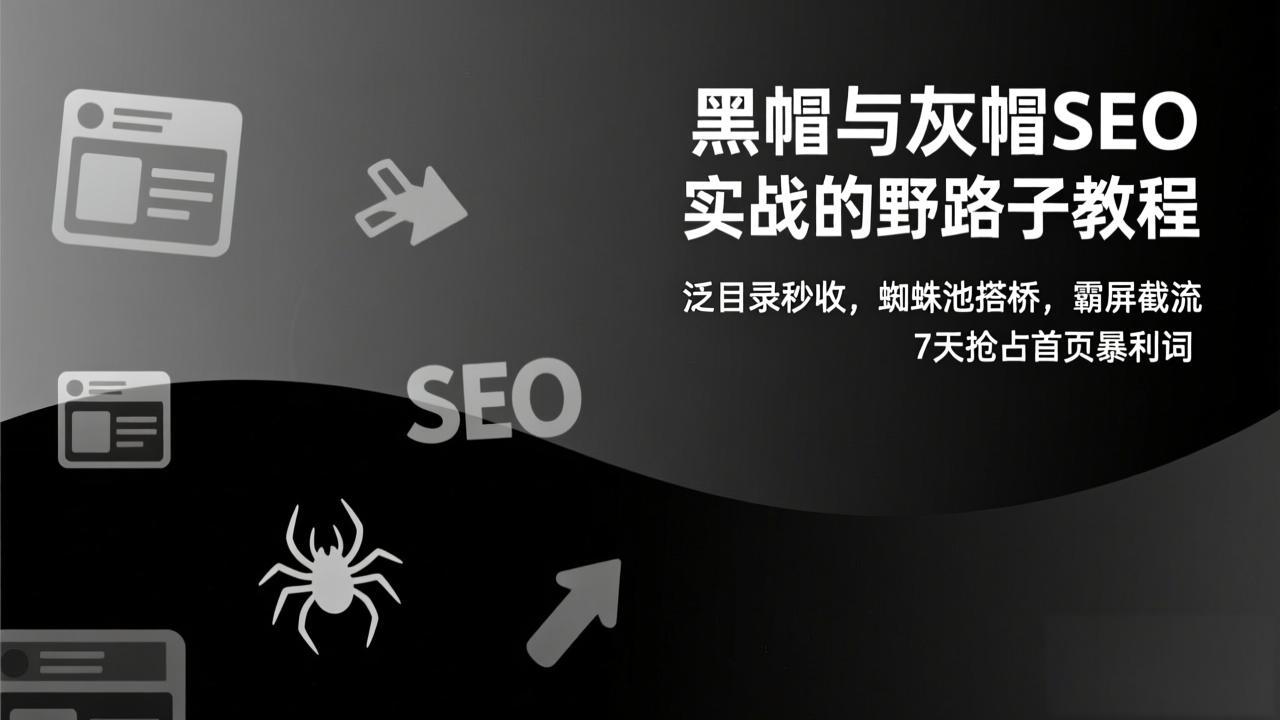 黑帽与灰帽SEO实战的野路子教程：泛目录秒收，蜘蛛池搭桥，霸屏截流，7天抢占首页暴利词-川川创富网