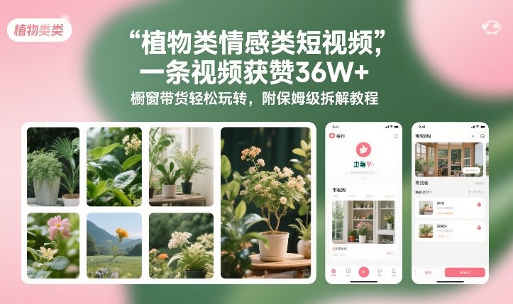植物类情感类短视频，一条视频获赞36W+，橱窗带货轻松玩转，附保姆级拆解教程-川川创富网