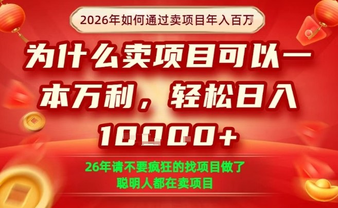 一单净利润1K+，26年想年入100个W，死磕卖项目就够了【揭秘】-川川创富网