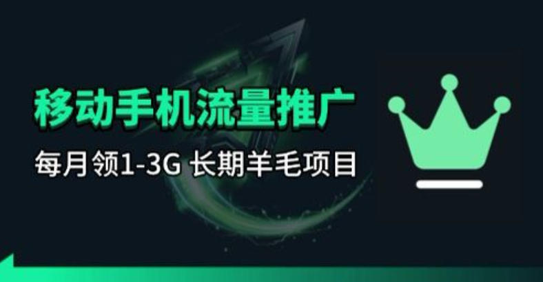手机流量领取推广_每月一轮，刚需类的长期项目-川川创富网