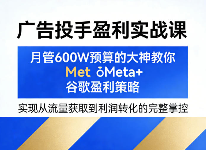 广告投手盈利实战课，月管600W预算的大神教你Meta+谷歌盈利策略，实现从流量获取到利润转化的完整掌控-川川创富网