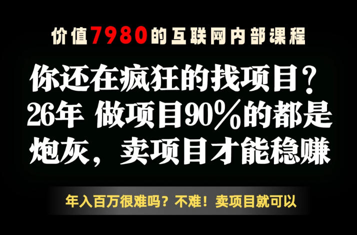 26年请不要疯狂的找项目了，卖项目远比你想象的暴利，你也可以月入10W+【揭秘】-川川创富网