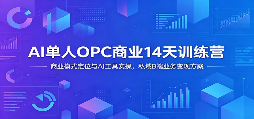 AI单人OPC商业14天训练营：商业模式定位与AI工具实操，私域B端业务变现方案-川川创富网