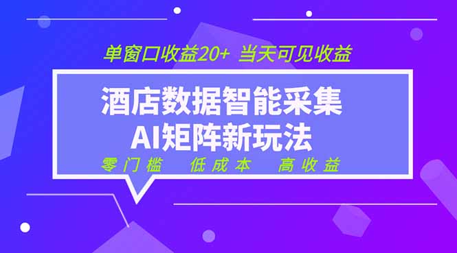 2026酒店数据采集ai智能矩阵新风口 低成本 高收益 当天见收益 单窗口20+-川川创富网