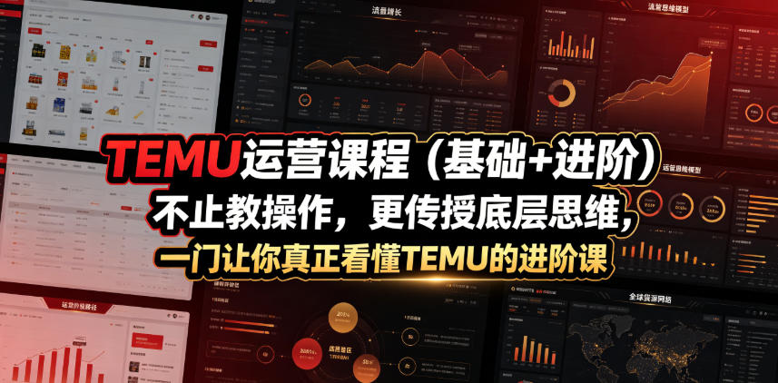 TEMU运营课程(基础+进阶)，不止教操作，更传授底层思维，一门让你真正看懂TEMU的进阶课-川川创富网