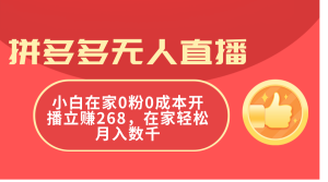 (11521期)拼多多无人直播,小白在家0粉0成本开播立赚268,在家轻松月入数千-川川创富网