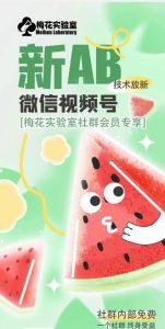 梅花实验室2024年AB技术视频号AB合成破解版-川川创富网