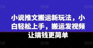 小说推文搬运新玩法，小白轻松上手，搬运发视频让搞钱更简单-川川创富网