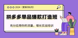 (11556期)2024拼多多-单品爆款打造班(更新6月),充分应用你的流量,增长实战培训-川川创富网