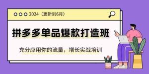 2024拼多多单品爆款打造班,充分应用你的流量,增长实战培训(更新6月)-川川创富网