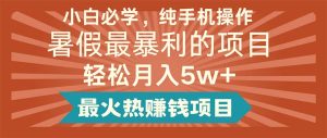 （11583期）小白必学，纯手机操作，暑假最暴利的项目轻松月入5w+最火热赚钱项目-川川创富网