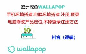 wallapop整套详细闭环流程:最稳定封号率低的一个操作账号的办法-川川创富网